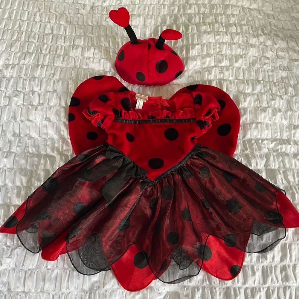 Lady Bug Costume
